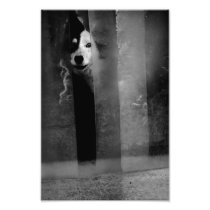 Don't hurt me - Print Photo Art