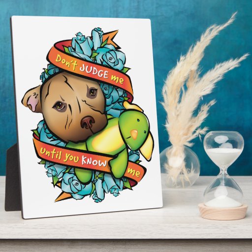 Don't Judge Me... Display Plaque
