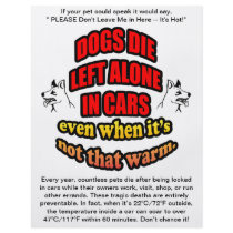 DONT LEAVE YOUR PETS ALONE IN A CAR FLYER