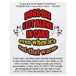 DONT LEAVE YOUR PETS ALONE IN A CAR flyers