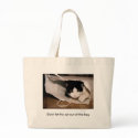 Don't Let The Cat Out Of The Bag