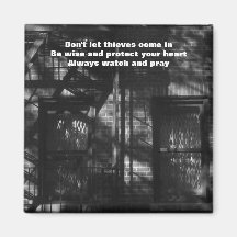 Don't let thieves come in  Magnet