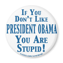 Don't Like Obama - You're Stupid magnets by lunchpail Don't Like Obama - You're Stupid magnets
