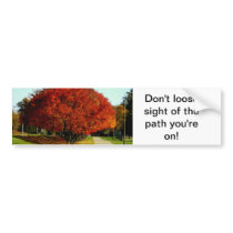 Don't Loose Sight bumper sticker