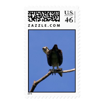 Don't MAKE Me Come Down There! Postage
