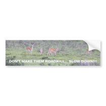 Don't make them roadkill bumper stickers