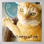 Dont mess wit me poster posters