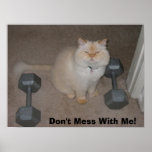 Don't Mess With Me! posters