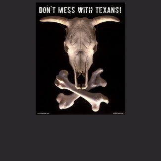 Don't Mess With Texans (black T) shirt