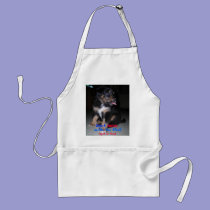 Don't MESS with the Chef!  (spit is free), aprons