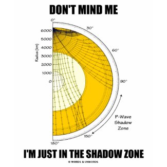 Don't Mind Me I'm Just In The Shadow Zone shirt