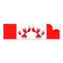Don't Moose With Me, I am Canadian bumper stickers