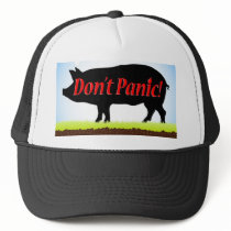 Don't Panic Swine Flu Hat