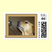 Don't! postage