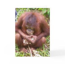 Don't Share #1 - wildlife greeting cards by Rebecca_Reeder Don't Share #1 - wildlife greeting cards