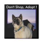 Don't Shop, Adopt ! Akita magnet magnet