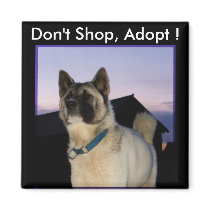 Don't Shop, Adopt ! Akita magnet by Petcetera Don't Shop, Adopt ! Akita magnet