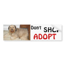 Don't SHOP ~ ADOPT! bumper stickers by malibuitalian Don't SHOP ~ ADOPT! bumper stickers