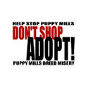 Don't Shop, Adopt! Keychain keychain