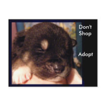 Don't Shop, Adopt Postcards