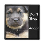 Don't Shop Adopt ! shep magnets magnet