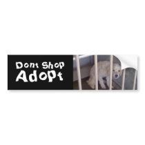 Dont Shop bumper stickers