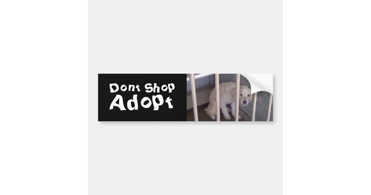 Dont Shop Bumper Sticker Zazzle 