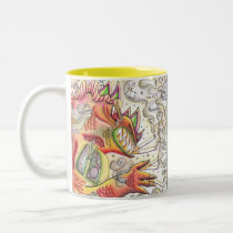 "Don't smoke" mug mugs
