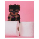 Don't squeeze the Charmin flyers