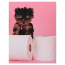 Don't squeeze the Charmin letterhead