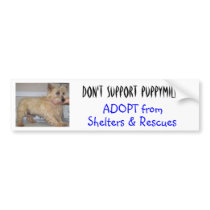 Don't Support Puppymills -- Straggles bumper stickers by tracyhaben Don't Support Puppymills -- Straggles bumper stickers