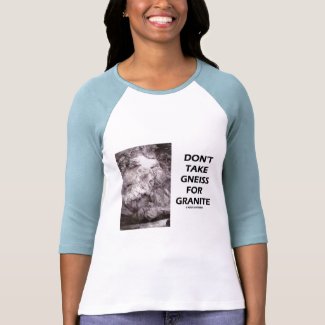 Don't Take Gneiss For Granite (Geology Humor) shirt