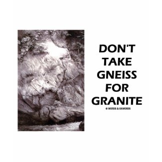Don't Take Gneiss For Granite (Geology Humor) shirt