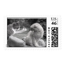 don't think about it stamp by juliedingmanevans don't think about it stamp