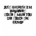 don't touch the bump t-shirts