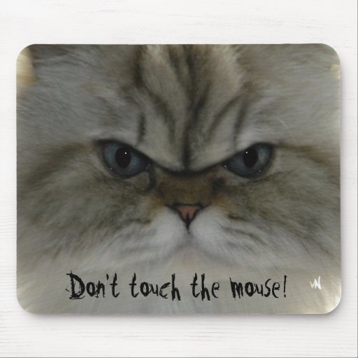 Don't touch the mouse! mouse pad Zazzle