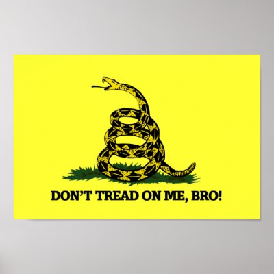 http://rlv.zcache.com/dont_tread_on_me_bro_poster-p228053671579986452t5wm_400.jpg