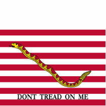 Don't Tread On Me Photo Sculptures
