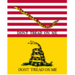Don't Tread On Me Photo Cut Outs