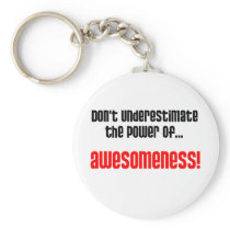 Don't Underestimate The Power Of Awesomeness Key Chain