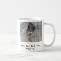 Don't want to get up now. mugs