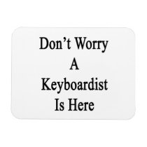 Don't Worry A Keyboardist Is Here.png Vinyl Magnets