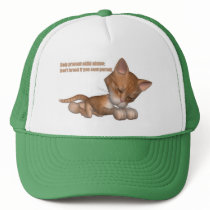 dontbreedcat hats by babyjameslaw dontbreedcat hats