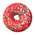 Donut Magnet