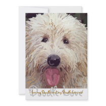 Doodle Love, I love my Doodle an... invitations by DogsRealDogs Doodle Love, I love my Doodle an... invitations