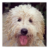 Doodle Painting Poster
