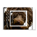 Doodle posters