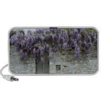 DOODLE SPEAKER OrigAudio™  - Wisteria at Viviers