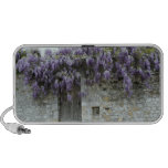 DOODLE SPEAKER OrigAudio™  - Wisteria at Viviers speakers