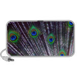 Apple Laptop Fan | peacock, feather, red, orange, yellow, green, peacock, feather, red, orange, yellow, green,